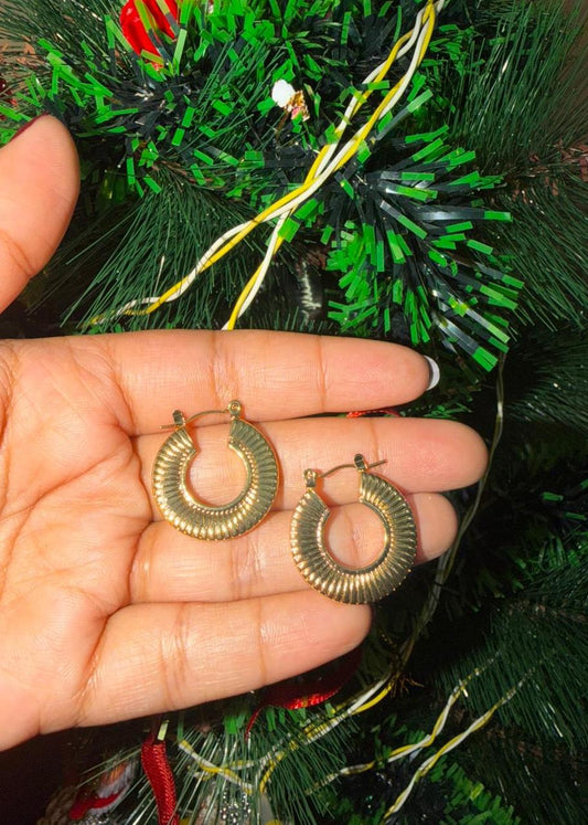 Snail Anti Tarnish Hoops